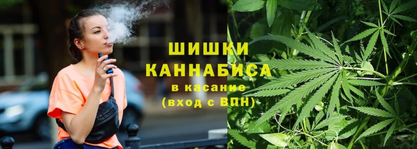 тгк Касимов