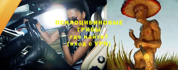 mix Карпинск