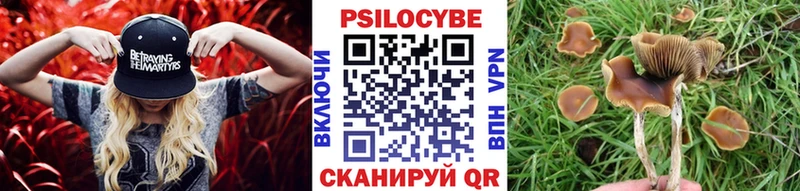 Купить  Невьянск  Псилоцибиновые грибы Psilocybe 